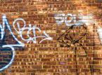 Grzywna dla właściciela nieruchomości za nieskoszony trawnik i graffiti na ścianie