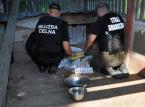 Rzeka nielegalnych papierosów płynie do Polski ze Wschodu