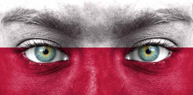 zdjęcie główne
