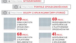Najważniejsze rodzaje platform internetowych