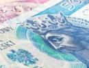 Złoty stabilny, euro przy ważnym wsparciu