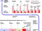 Polska elektrownia atomowa jeszcze nie powstała, ale już wiemy, kto pierwszy zarobi na niej miliardy złotych