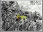 John Lurie National Orchestra "Invention of Animals" - recenzja
