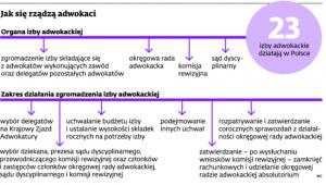 Jak się rządzą adwokaci