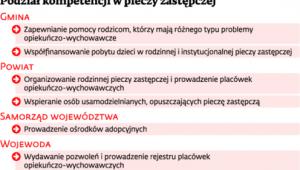 Podział kompetencji w pieczy zastępczej