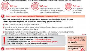 Nowe zasady wycinki drzew