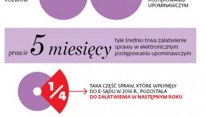 E-sąd w liczbach
