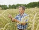 W rolnictwie kolejny dobry rok - ceny skupu wzrosły w 2011 r. dwa razy więcej od cen środków produkcji