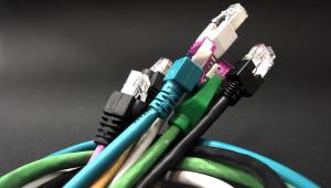 Kable sieciowe fot. sxc.hu