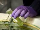 14 mld euro wyrzucone w biopaliwa i po co? Unia nie chce płacić, branża może przestać istnieć