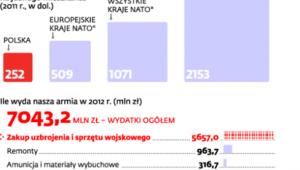 Na tle NATO wypadamy skromnie